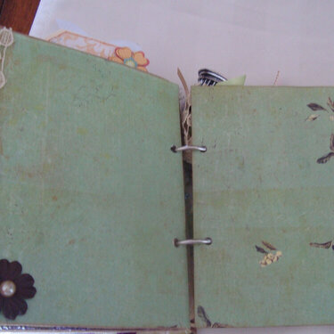 Martica&#039;s Paper Bag Album Swap - Nature Group