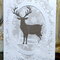 "Velveteen  Deer" Christmas Card