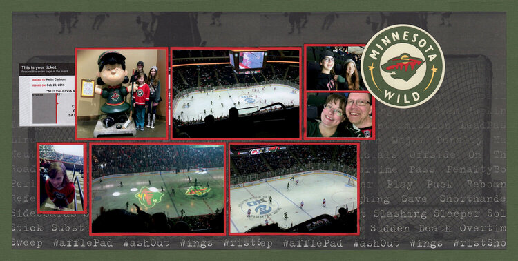 Minnesota Wild Hockey