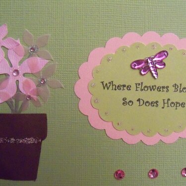 Where Flowers Bloom