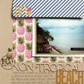 Non-Tropical Beach