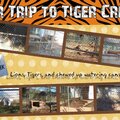 Tiger Creek