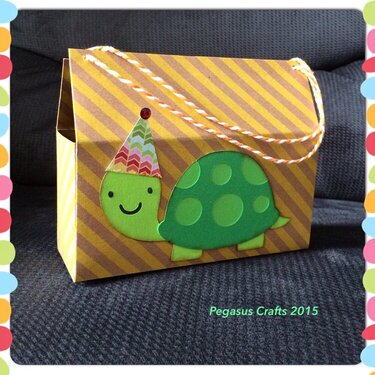 Turtle Box/bag