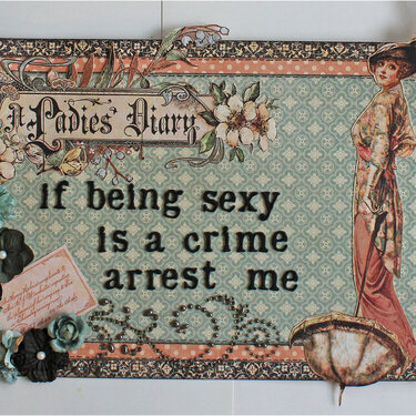 If being sexy is a crime - arrest me!