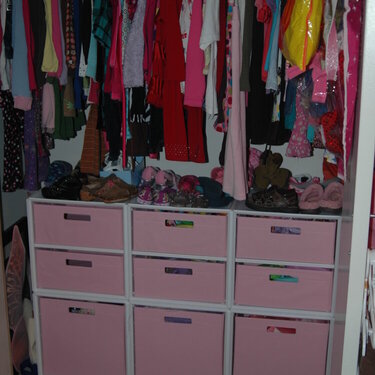 closet organization- behind on my challenge