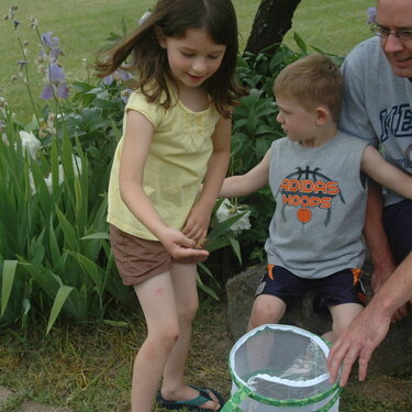 butterfly release