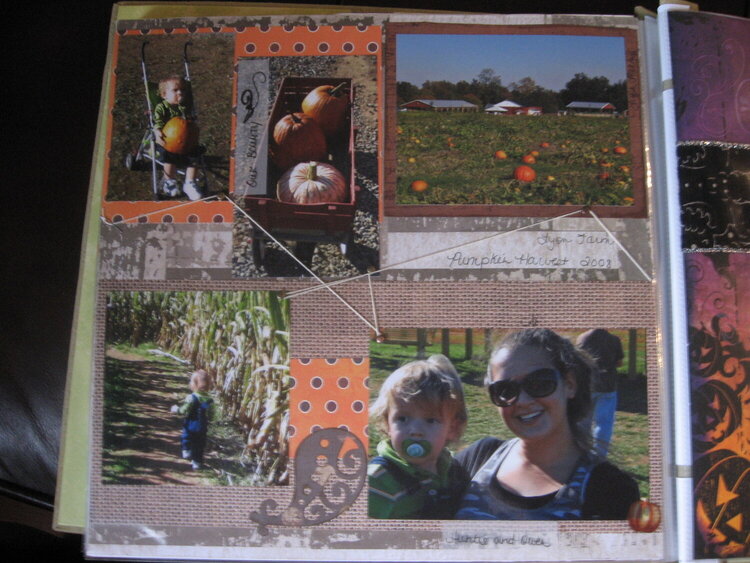 Pumpkin Farm 2008