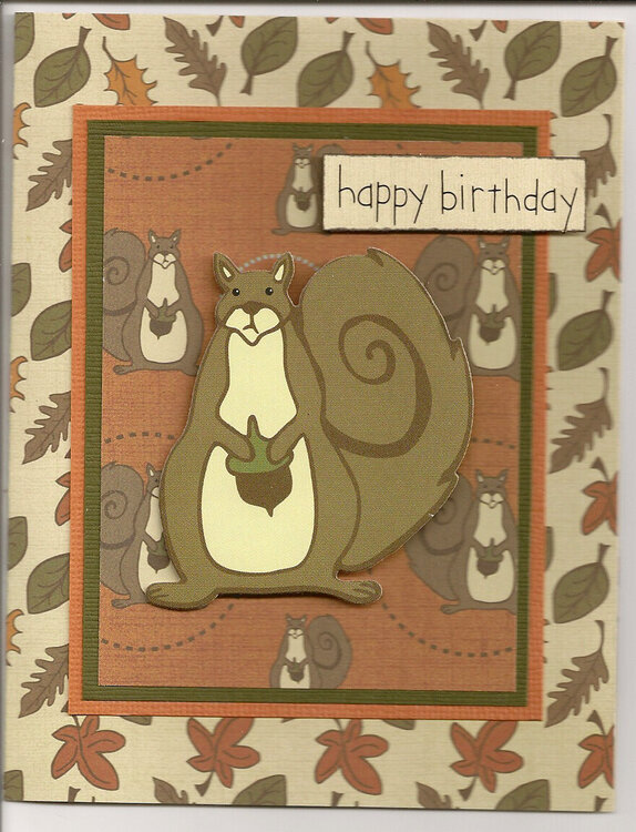 b-day squirrel