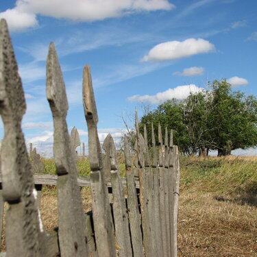 Forgotten fence