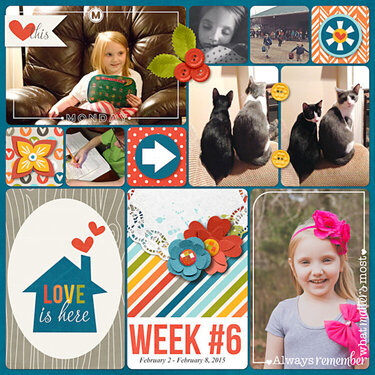 Project Life 2015 Week 6 Right