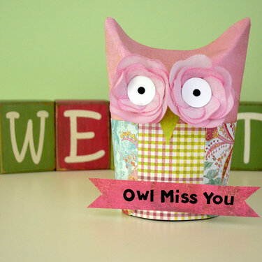 Owl Gift Box