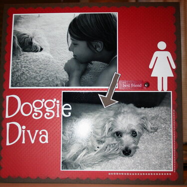 Doggie Diva
