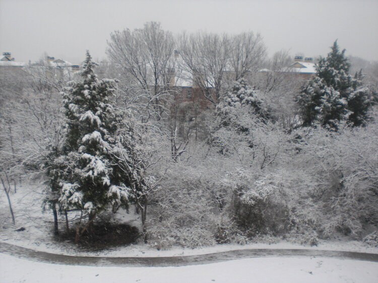snow in dallas 2010