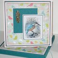Kingfisher Card and Box