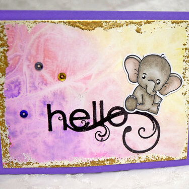 Elephand Says Hello