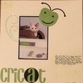 Cricat