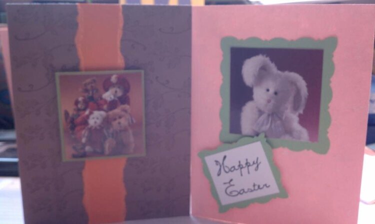 Bears and Bunny Card