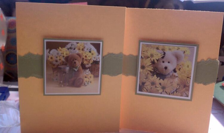 Spring Bears Cards