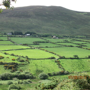 Beautiful green Ireland in June