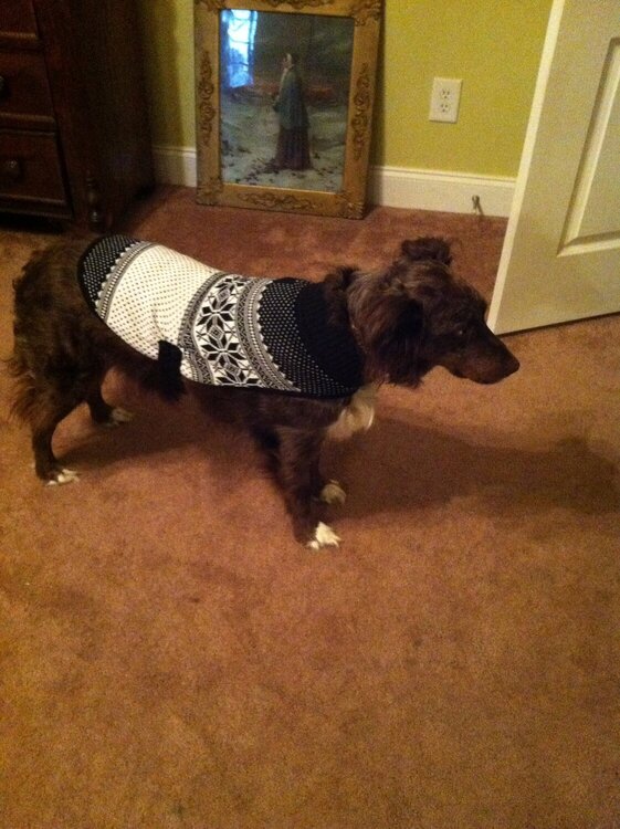 Katie in her new sweater