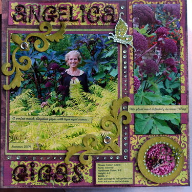 angelica gigas  2nd page