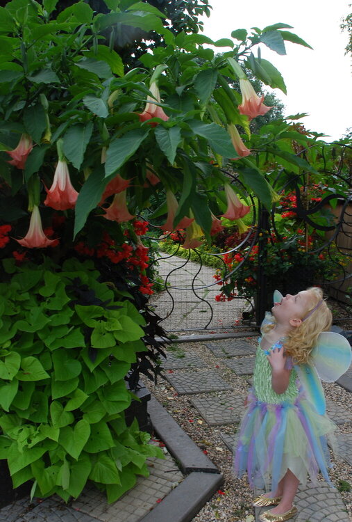 Anna in my garden