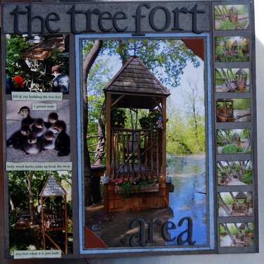 the tree fort area