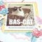 Bas-Cat Case