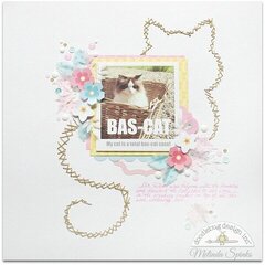 Bas-Cat Case
