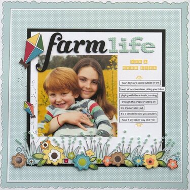 Farm Life *American Crafts*