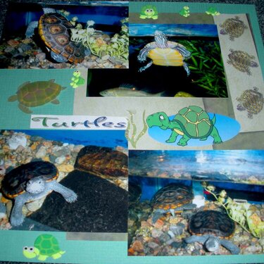 Turtles Page 2