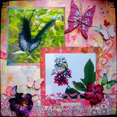 Butterfly Garden Pg1