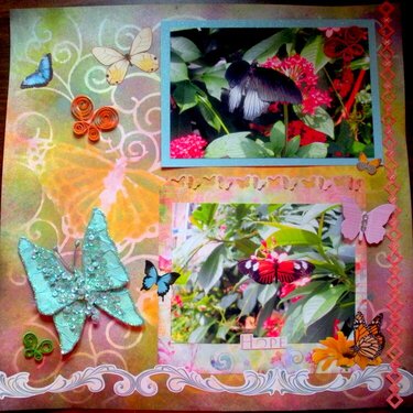 Butterfly Garden Pg4