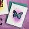 Momenta Butterflies