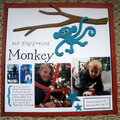 Our Playground Monkey