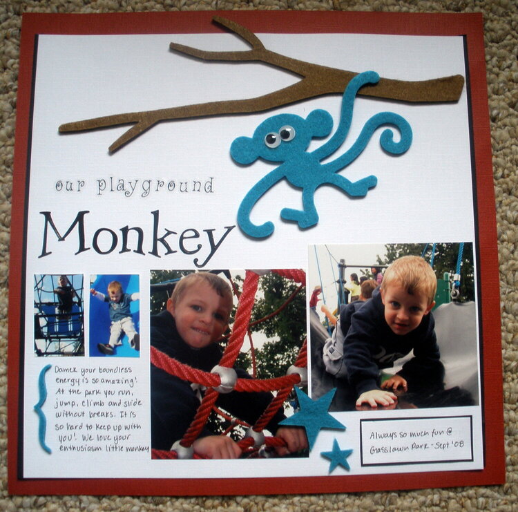 Our Playground Monkey