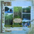 Adventure in the Everglades