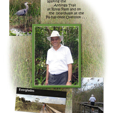 Everglades Collage Page 1