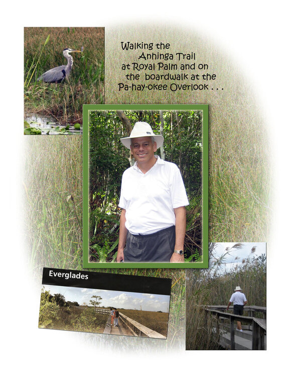 Everglades Collage Page 1