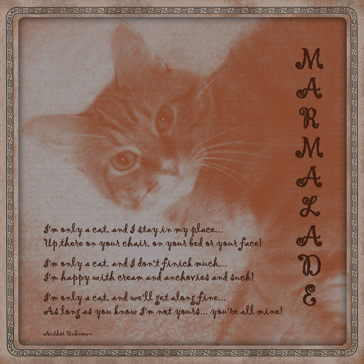 Conte Crayon Cat &amp; Poem