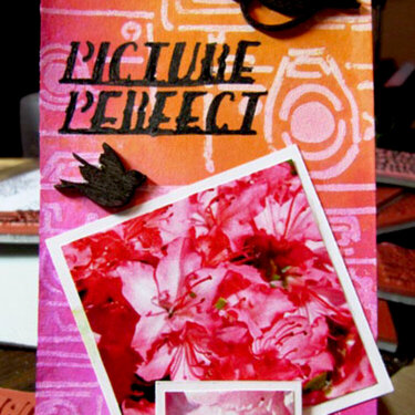 Tag: Picture Perfect