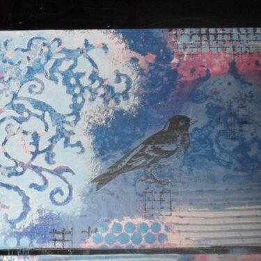 bird/cage canvases