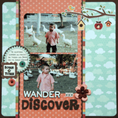 WANDER & DISCOVER