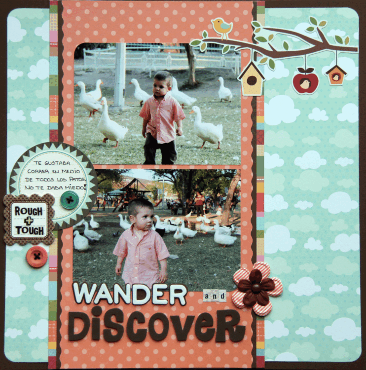 WANDER &amp; DISCOVER