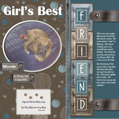 Girl&#039;s Best Friend