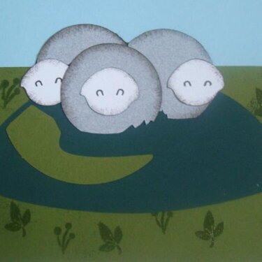 sheep card
