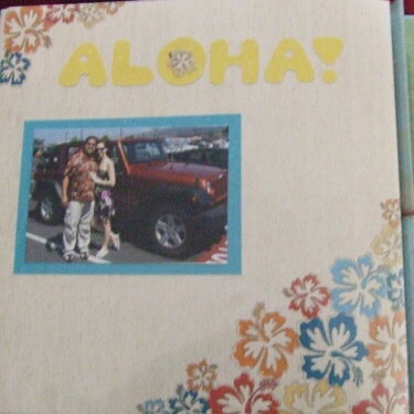 Aloha! last page of honeymoon album