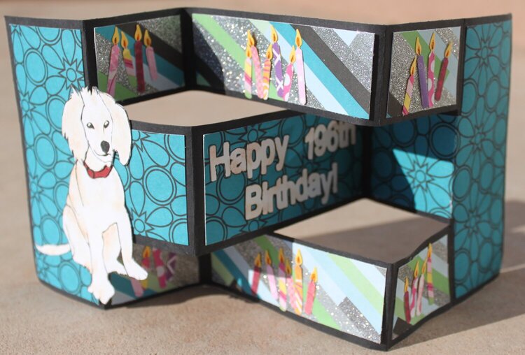 tri fold dog birthday