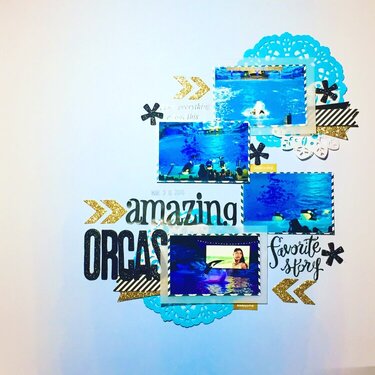 Amazing Orcas