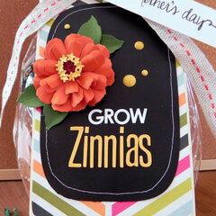 Grow Zinnias